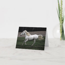 Cartão Cavalo branco Running