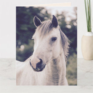 CARTÃO CAVALO BRANCO SE DÁ BEM EM BREVE