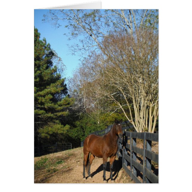 Cartão Cavalo castanho contra cerca (Frente)