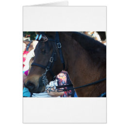 Cartão Cavalo castanho escuro usando óculos de proteção