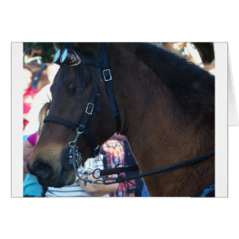 Cartão Cavalo castanho escuro usando óculos de proteção