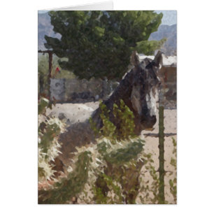 Cartão Cavalo cinzento em Catcus