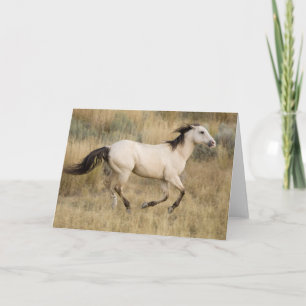 Cartão Cavalo Correndo Pela Grama Prairie