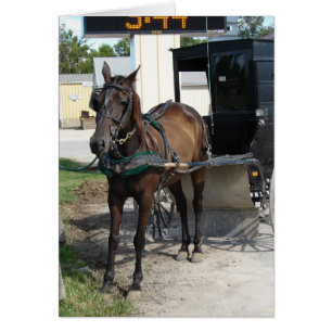 Cartão Cavalo de Amish e Loja de Combustível de Combustív