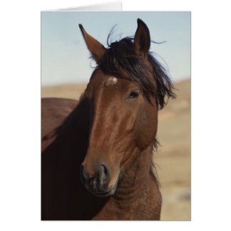 Cartão Cavalo de Baía no Vento