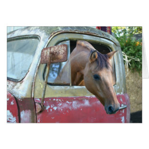 Cartão Cavalo de condução automóvel