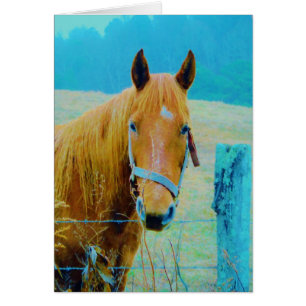 Cartão Cavalo de cor azul Denim