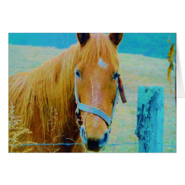 Cartão Cavalo de cor azul Denim (Frente Horizontal)