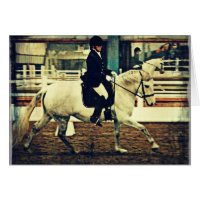 Cavalo de Dressage e Cavaleiro