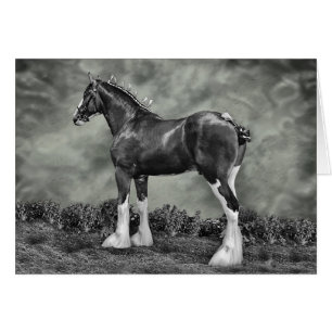 Cartão Cavalo de ferro Steele