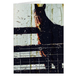 Cartão Cavalo de inverno