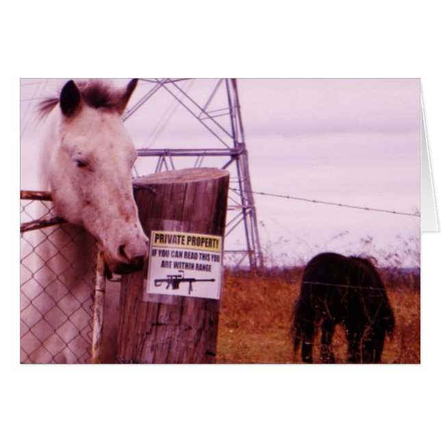 Cartão Cavalo de lavanda de Propriedade Privada (Frente Horizontal)
