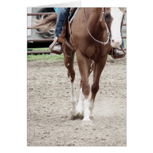 Cartão Cavalo de Pintura Ocidental