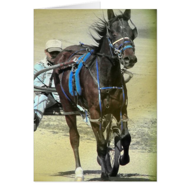 Cartão Cavalo de raça de Standardbred (Frente)