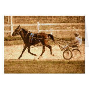 Cartão Cavalo de raça de Standardbred