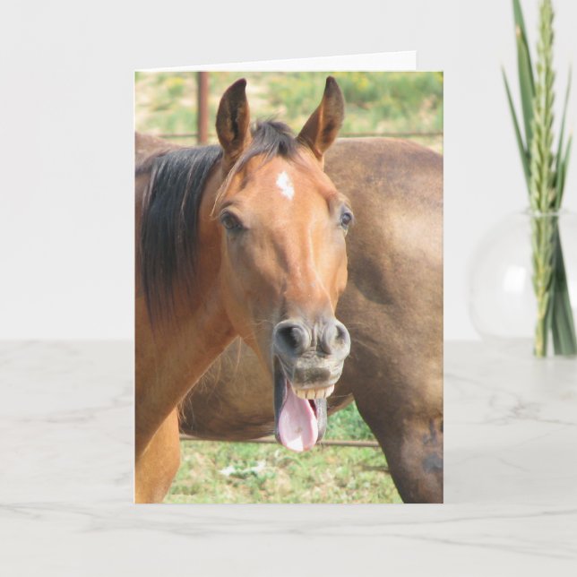 Cartão Cavalo de riso (Frente)