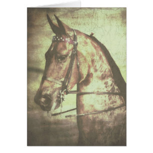 Cartão Cavalo de sela