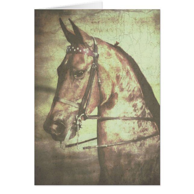 Cartão Cavalo de sela (Frente)