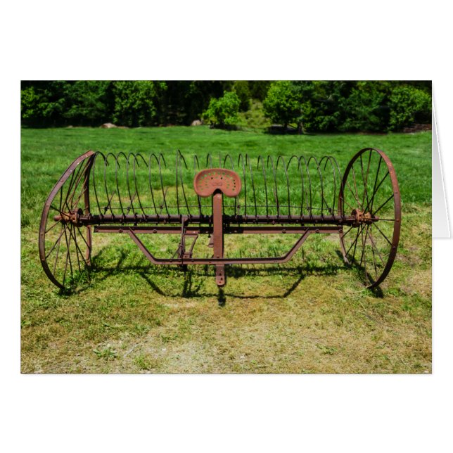 Cartão Cavalo Desenhado Rake De Cabeça (Frente horizontal)