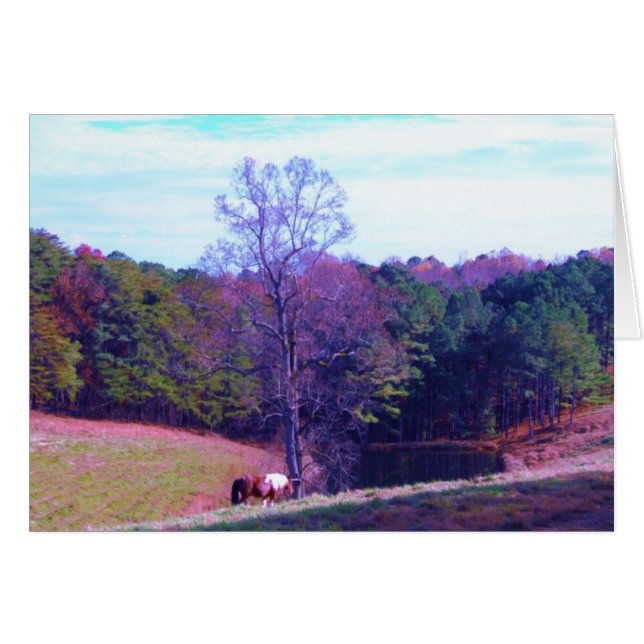 Cartão Cavalo distante em um campo roxo (Frente Horizontal)