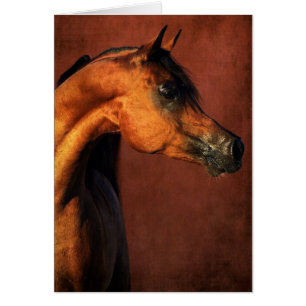 Cartão Cavalo do Arabian da baía