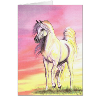 Cartão Cavalo do Arabian do por do sol