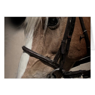 Cartão Cavalo do Palomino no freio