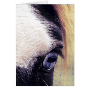 Cartão Cavalo dos olhos azuis