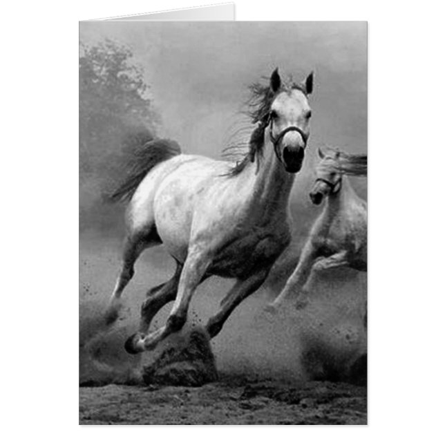 Cartão Cavalo em Execução (Frente)