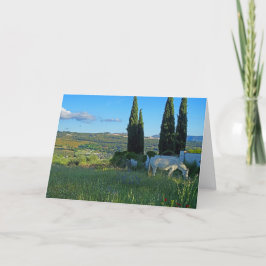 Cartão Cavalo Feliz