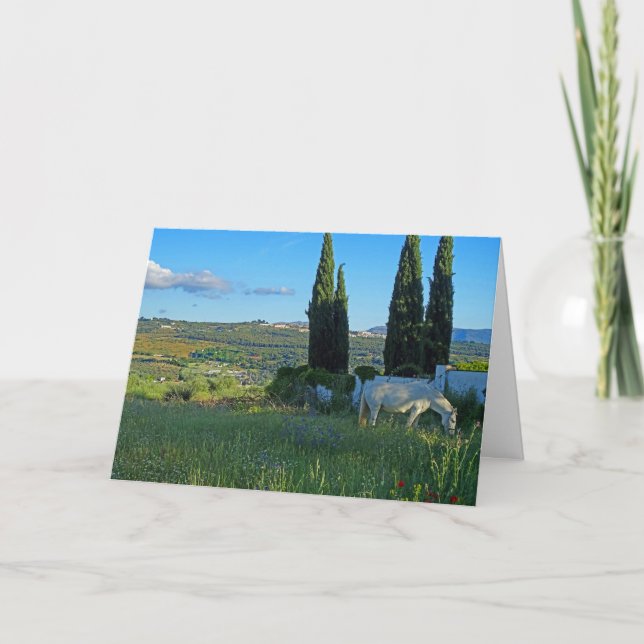 Cartão Cavalo Feliz (Frente)