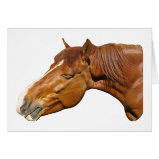 Cartão Cavalo feliz