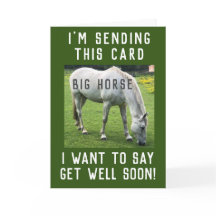 Cavalo Grande Fica Bem Em Breve