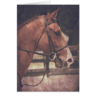 Cartão Cavalo Inglês