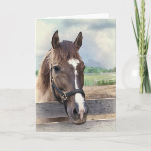 Cartão Cavalo marrom com anotação de ponte ou placa de sa