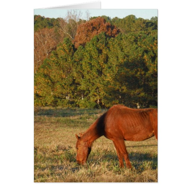 Cartão Cavalo Marrom com Pinheiros (Frente)
