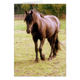 Cartão Cavalo Marrom Relaxado Andando