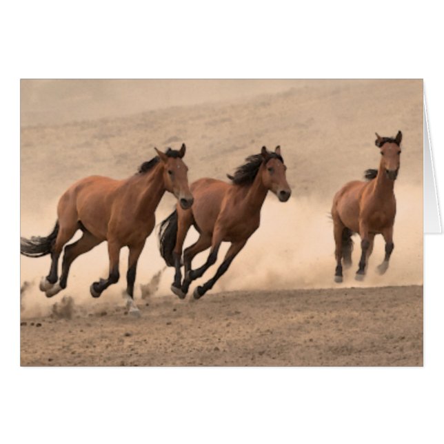 Cartão Cavalo na Queda II (Frente Horizontal)