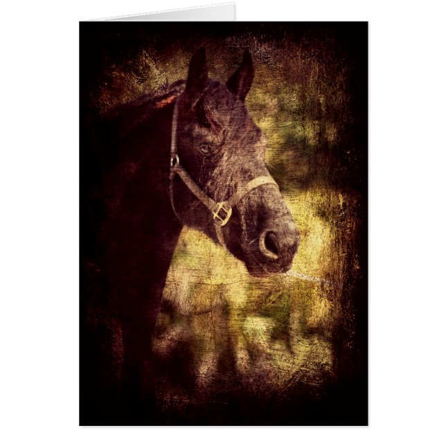 Cartão Cavalo Negro (Frente)