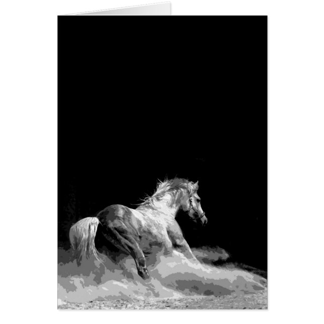 Cartão Cavalo Negro e Branco em Ação (Frente)