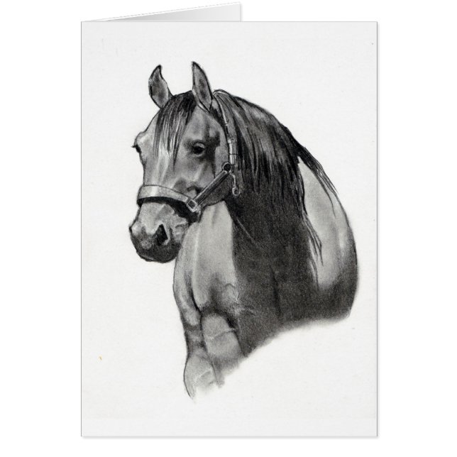 CARTÃO CAVALO NO LÁPIS (Frente)