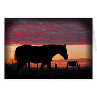 Cartão Cavalo no pôr do sol