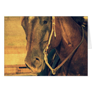 Cartão Cavalo ocidental