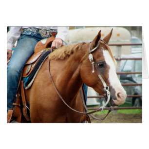 Cartão Cavalo ocidental