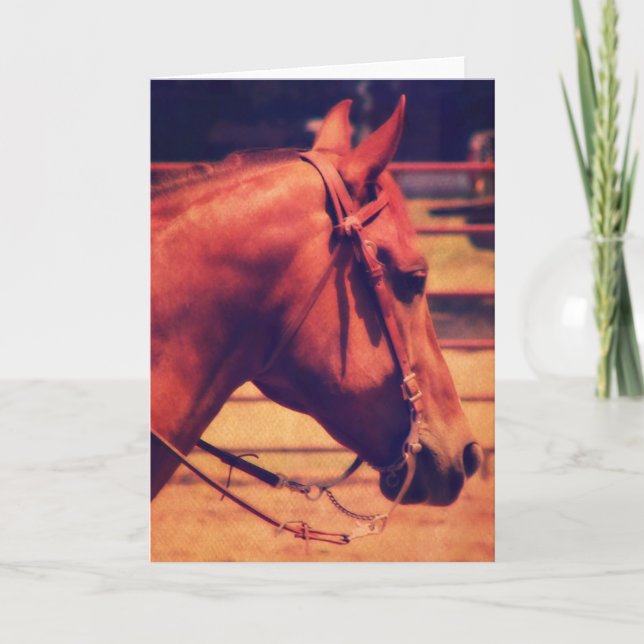 Cartão Cavalo Ocidental (Frente)