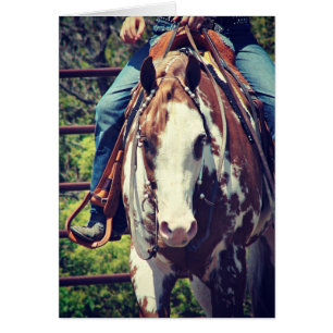 Cartão Cavalo ocidental da pintura