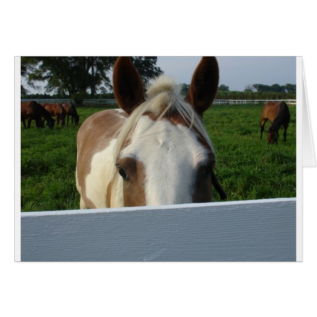 Cartão Cavalo Peek a Boo (Frente Horizontal)