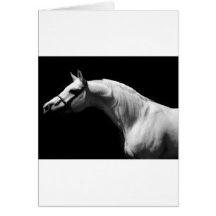 Cartão Cavalo Preto e Branco