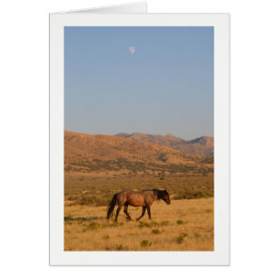 CARTÃO CAVALO SELVAGEM COM NOVA LUA NOTECARD
