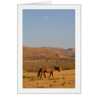 CAVALO SELVAGEM COM NOVA LUA NOTECARD